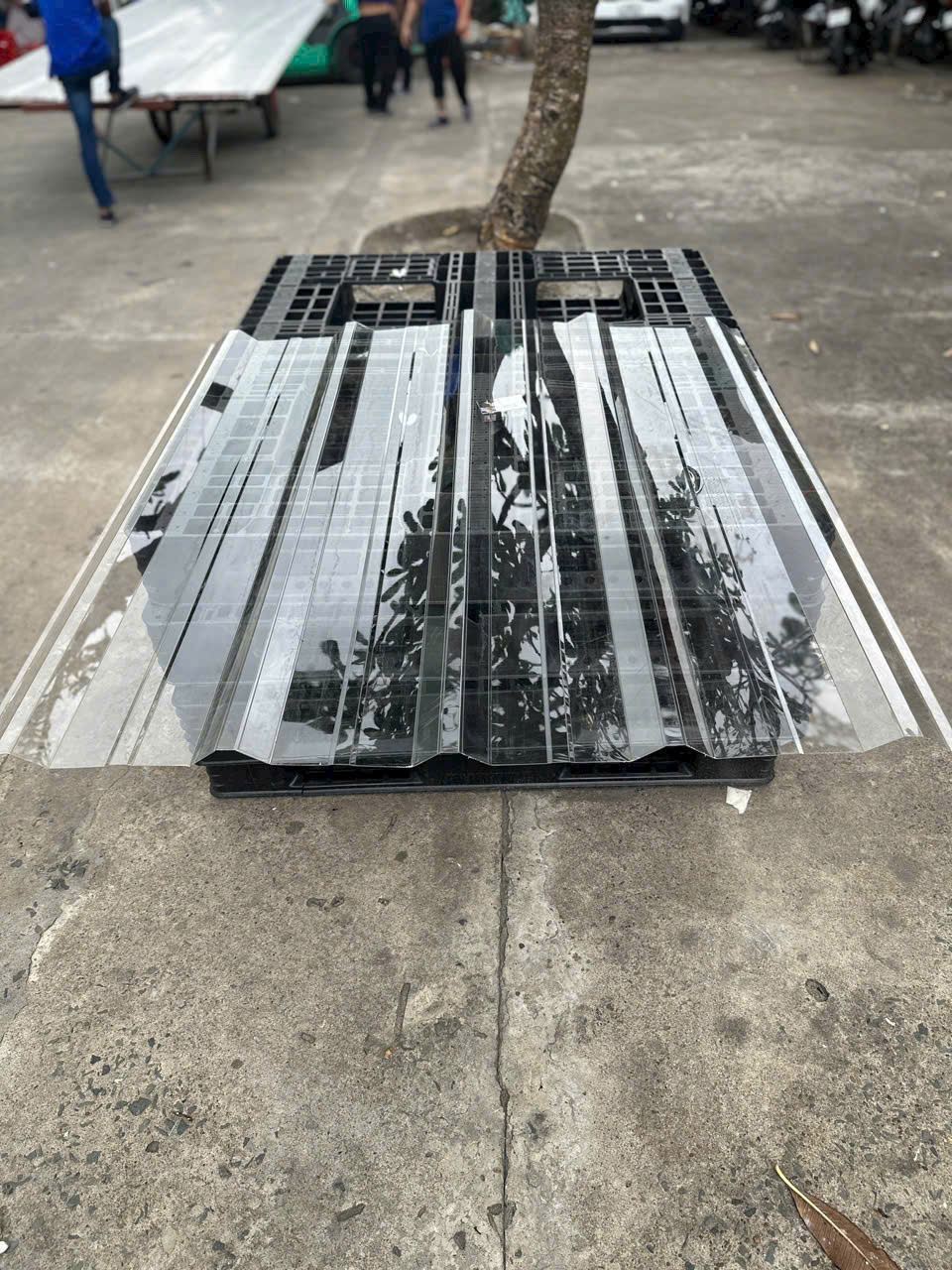 tôn nhựa poly (trong suốt 9 sóng, màu trà, trắng trong, xanh biển dầy từ 6dem 1,8ly