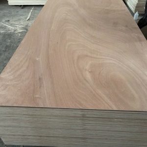 ván ép 4ly 18ly khổ 1×2m; 1,22×2,44